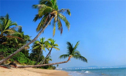 辣贝鲜魔力小海鲜