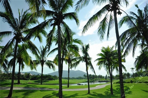 源杨记串串香火锅