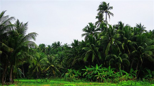 禾你蟹逅芝士蟹煌米粉