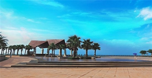 弹力素品牌排行榜