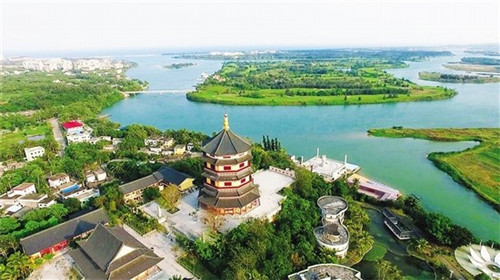 NMN品牌哪个值得买