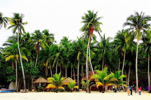 御禧贡茶加盟开店会亏吗，贡茶加盟连锁哪家靠谱