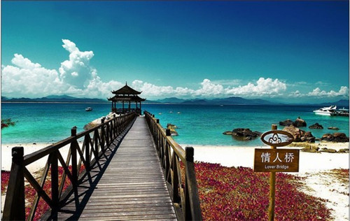 丰镇市男士板鞋加盟创业选择哪家品牌好