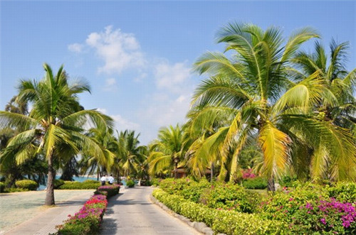 上菜十大忌讳是什么（上菜时要注意什么搭配）