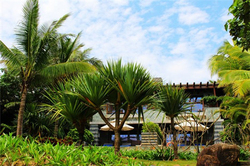 不高不矮的烦恼是什么歌（不高不矮是个好人才,是什么歌）