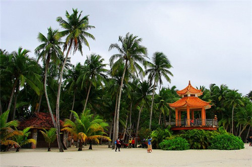 遇见本命年该怎么办女生（本命年遇到自己喜欢的人好不好）